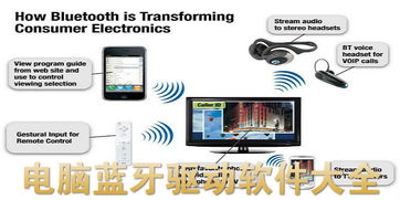 藍牙驅(qū)動軟件大全 計算機數(shù)據(jù)處理與下載指南